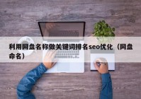 利用网盘名称做关键词排名seo优化（网盘命名）