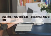 上海软件开发公司哪家好（上海软件开发公司招聘）