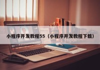 小程序开发教程55（小程序开发教程下载）