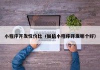 小程序开发性价比（微信小程序开发哪个好）