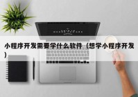 小程序开发需要学什么软件（想学小程序开发）