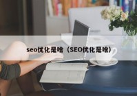 seo优化是啥（SEO优化是啥）