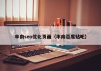 丰南seo优化页面（丰南百度贴吧）