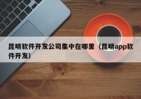 昆明软件开发公司集中在哪里（昆明app软件开发）