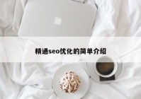 精通seo优化的简单介绍