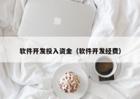 软件开发投入资金（软件开发经费）