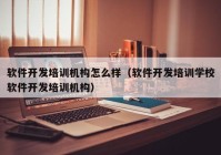 软件开发培训机构怎么样（软件开发培训学校软件开发培训机构）