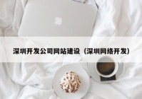 深圳开发公司网站建设（深圳网络开发）