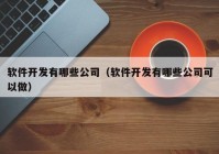 软件开发有哪些公司（软件开发有哪些公司可以做）