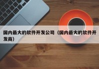 国内最大的软件开发公司（国内最大的软件开发商）