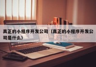 真正的小程序开发公司（真正的小程序开发公司是什么）